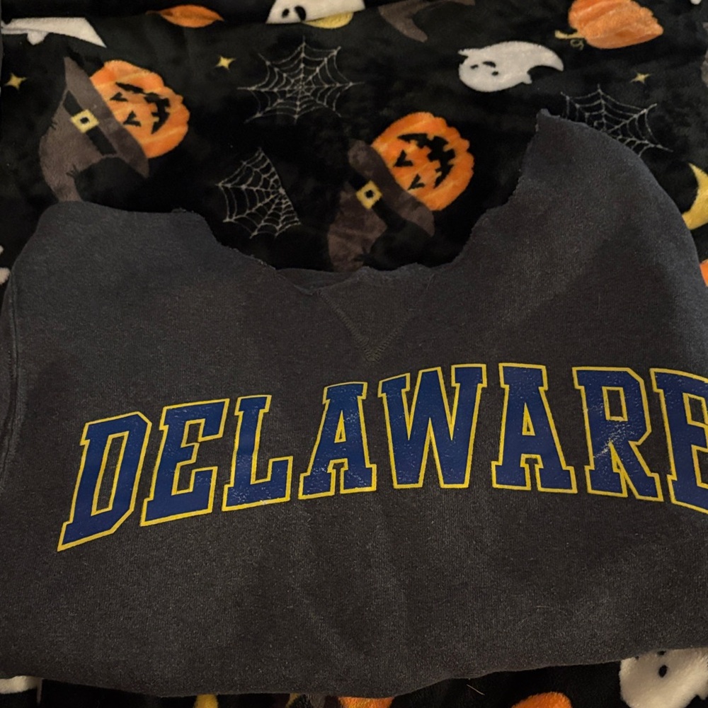Russell Athletic Gray Sweater with Blue and Yellow Print